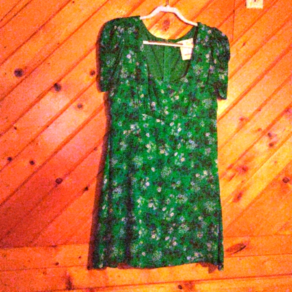 Row A Nordstrom floral green dress. Cute sleeves & waistline.Like New